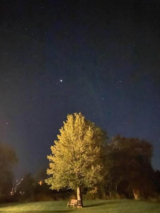Holly Tree Retreat Located In Beautiful Luray, Va.ヴィラ エクステリア 写真