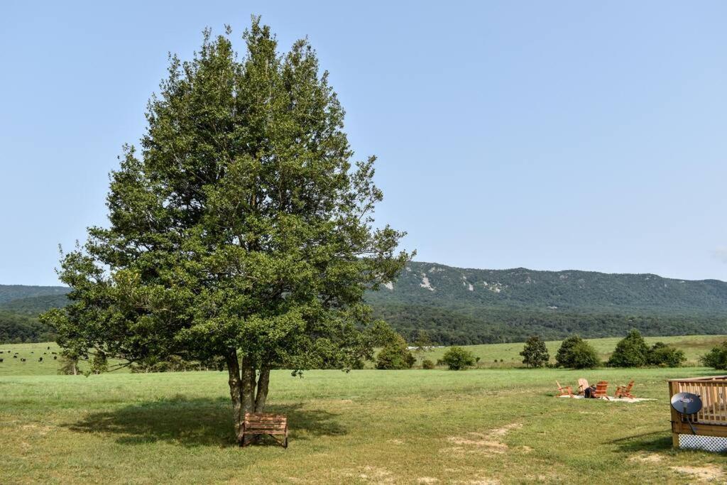 Holly Tree Retreat Located In Beautiful Luray, Va.ヴィラ エクステリア 写真