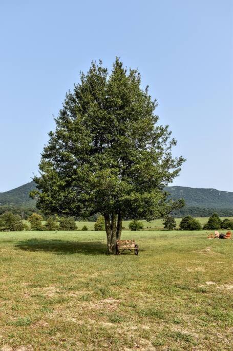 Holly Tree Retreat Located In Beautiful Luray, Va.ヴィラ エクステリア 写真