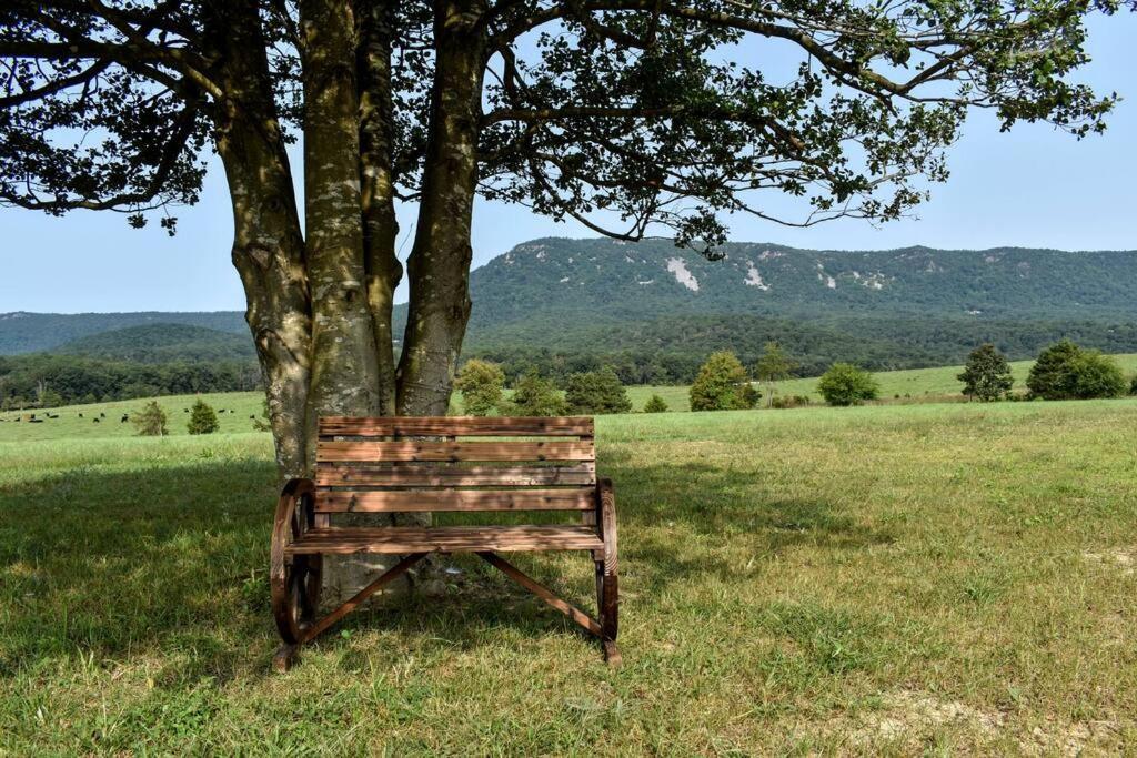 Holly Tree Retreat Located In Beautiful Luray, Va.ヴィラ エクステリア 写真