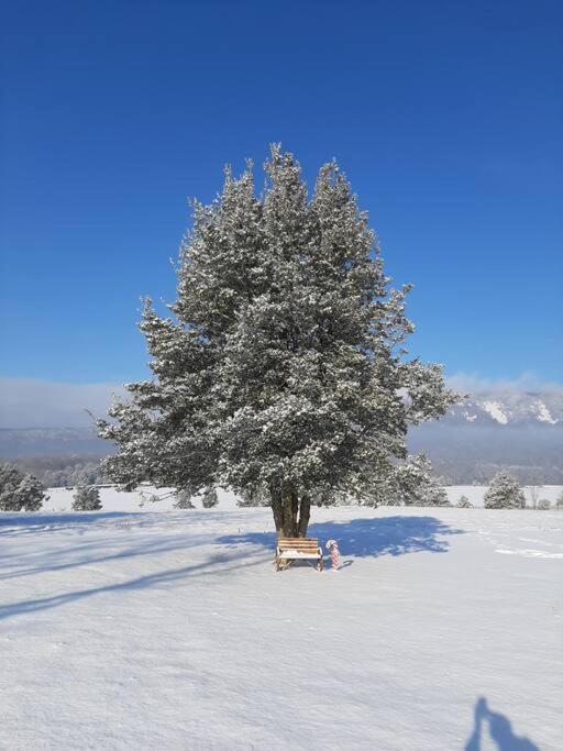 Holly Tree Retreat Located In Beautiful Luray, Va.ヴィラ エクステリア 写真