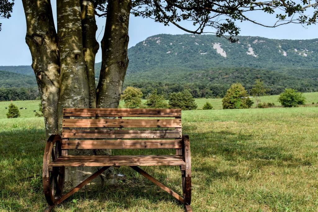 Holly Tree Retreat Located In Beautiful Luray, Va.ヴィラ エクステリア 写真