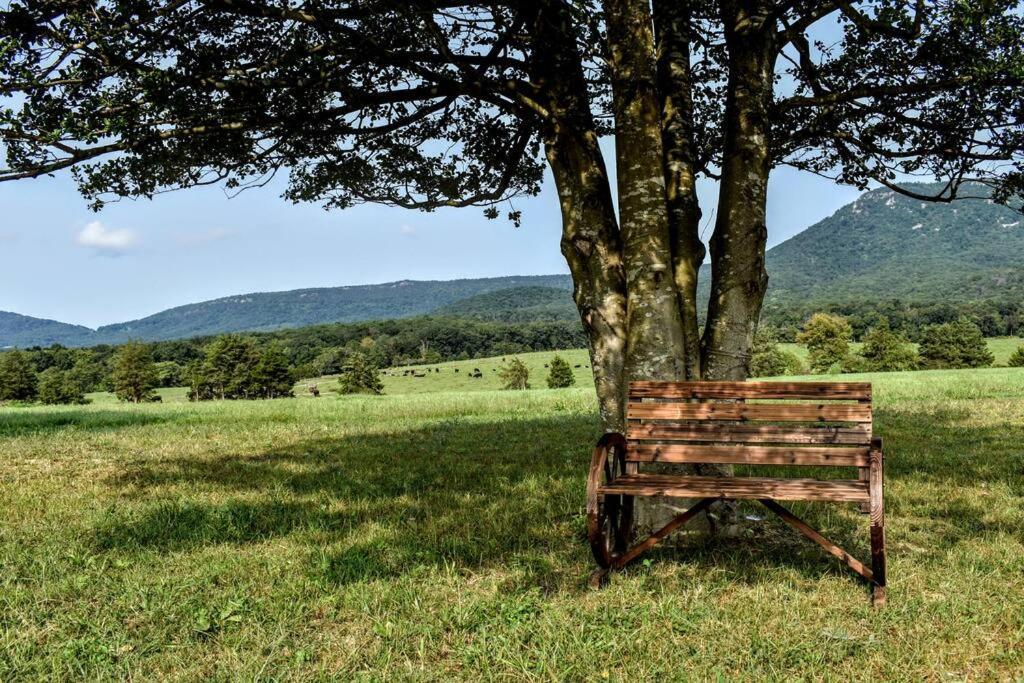 Holly Tree Retreat Located In Beautiful Luray, Va.ヴィラ エクステリア 写真