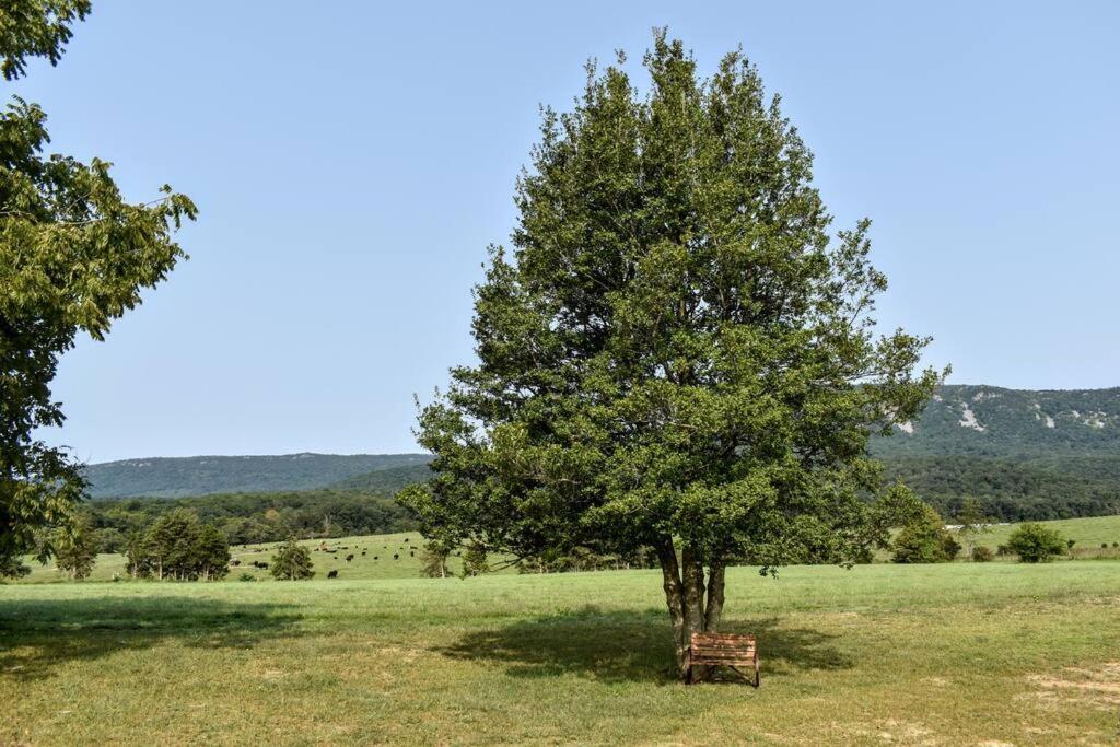Holly Tree Retreat Located In Beautiful Luray, Va.ヴィラ エクステリア 写真